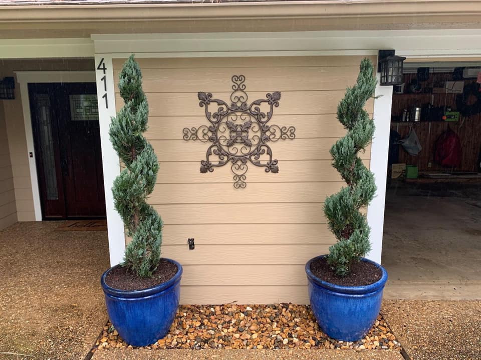 Topiary — Tyler, TX — Creative Landscape Solutions