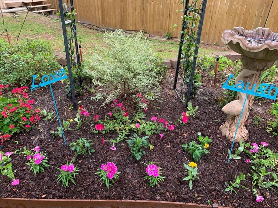 Pink Flowers — Tyler, TX — Creative Landscape Solutions
