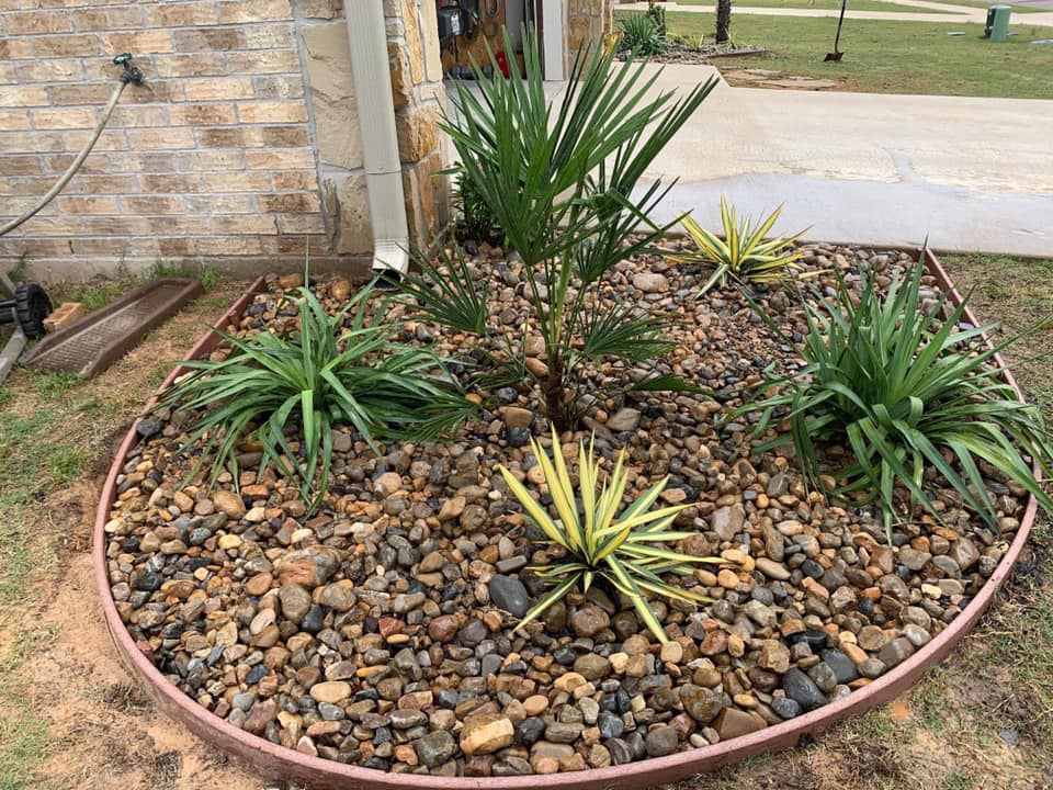 Close Up Of Plants — Tyler, TX — Creative Landscape Solutions