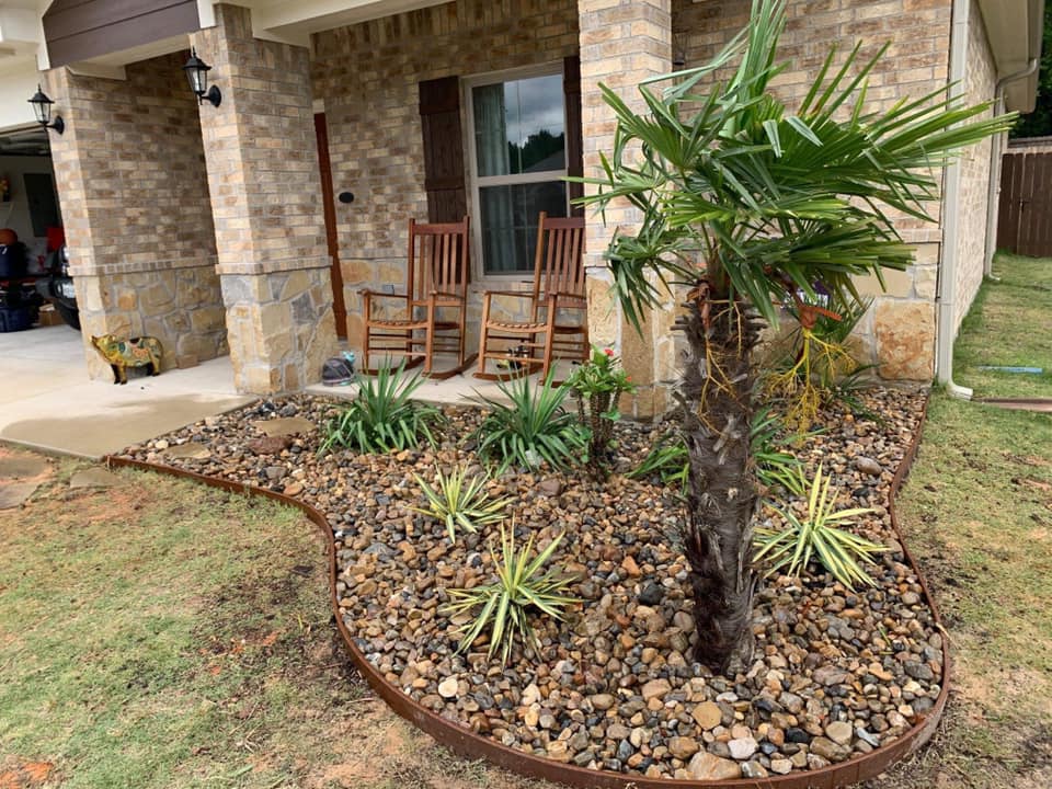 Small Tree — Tyler, TX — Creative Landscape Solutions
