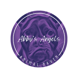 Abby's Angels Animal Haven | PA Non-Profit, Foster-Based Dog Rescue