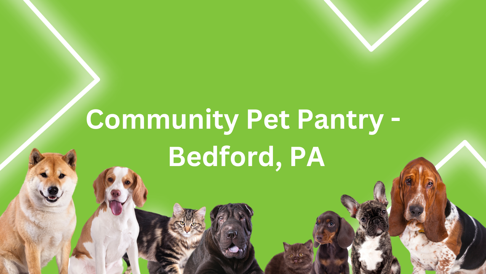 free-community-pet-pantry-in-bedford-pa-clover-s-closet