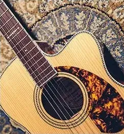 Beginner acoustic guitar dreadnought body style Beginner acoustic guitar dreadnought body style