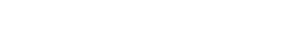 FLEXIT RENTACAR LOGO