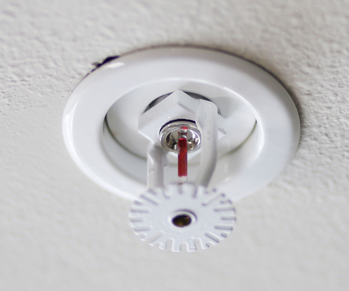 White fire sprinkler head installed on a white ceiling.