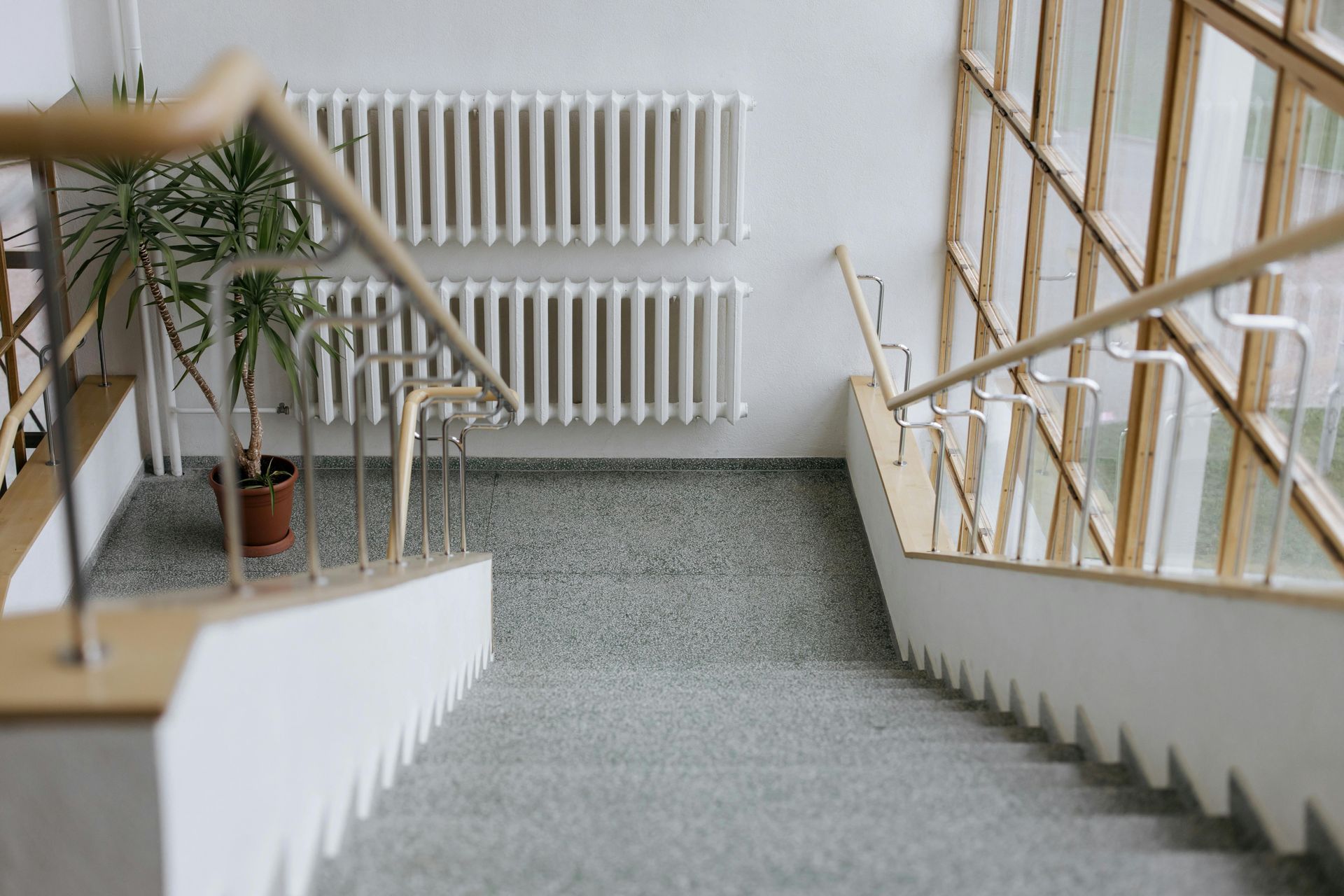 Stairway with gray carpet, white railings, and a potted plant beside a wall radiator.