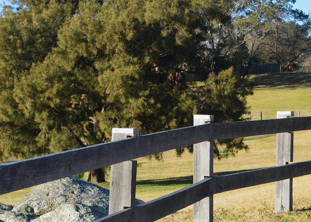 Wooden fence in foreground; trees and grassy hill in background.
