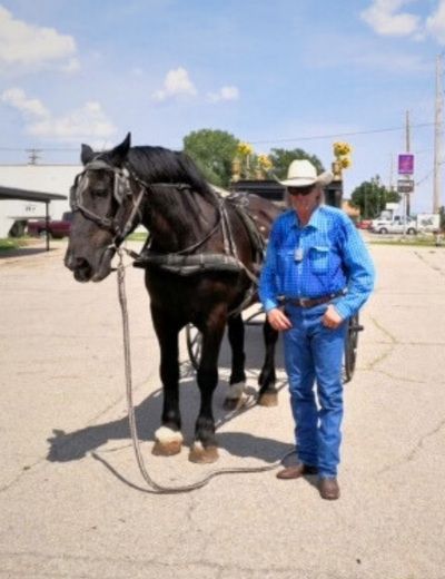 Rocking B Carriage owner Kevin with his horse Jack
