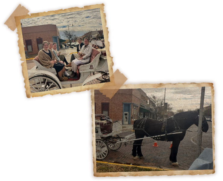 rocking b carriage horse and carriage rides collage