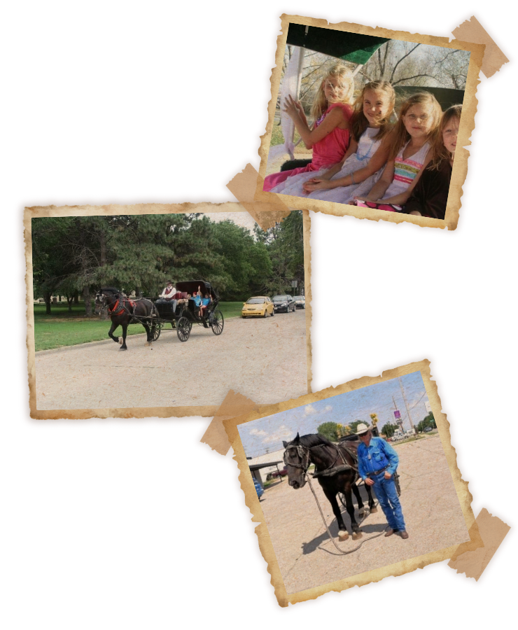 horse drawn carriage birthday par