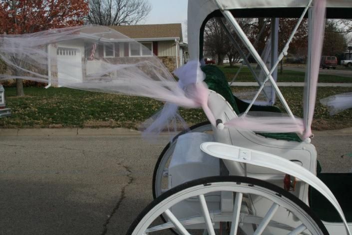 pink tulle on horse drawn carraige