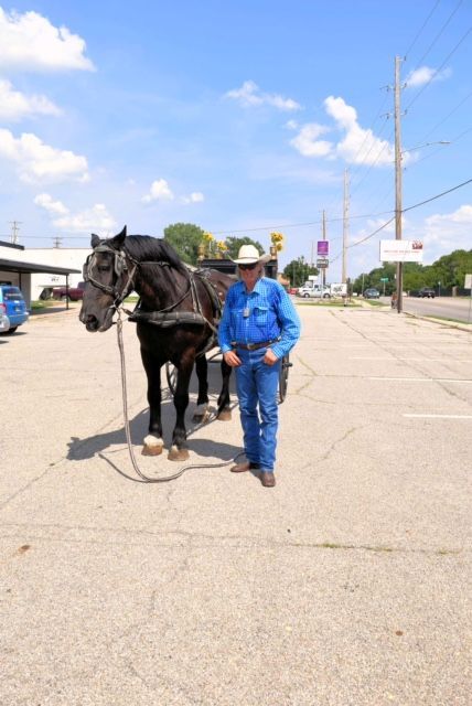 rocking b carriage owner with his horse