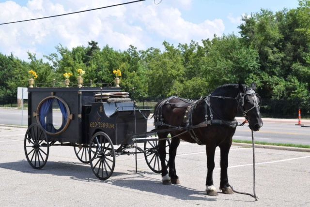 horse drawn hearse