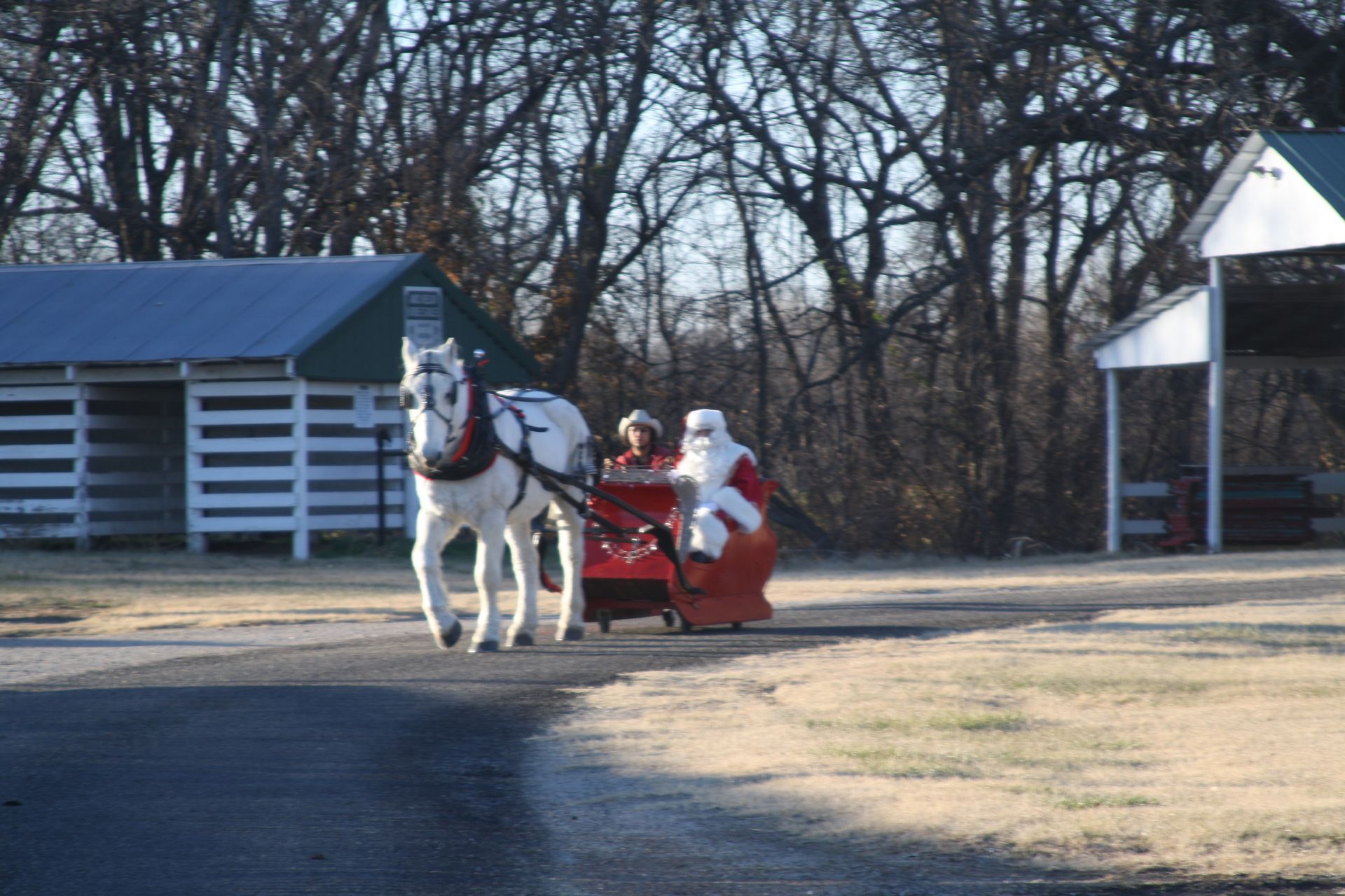 santa and mrs. claus on horse drawn carriage