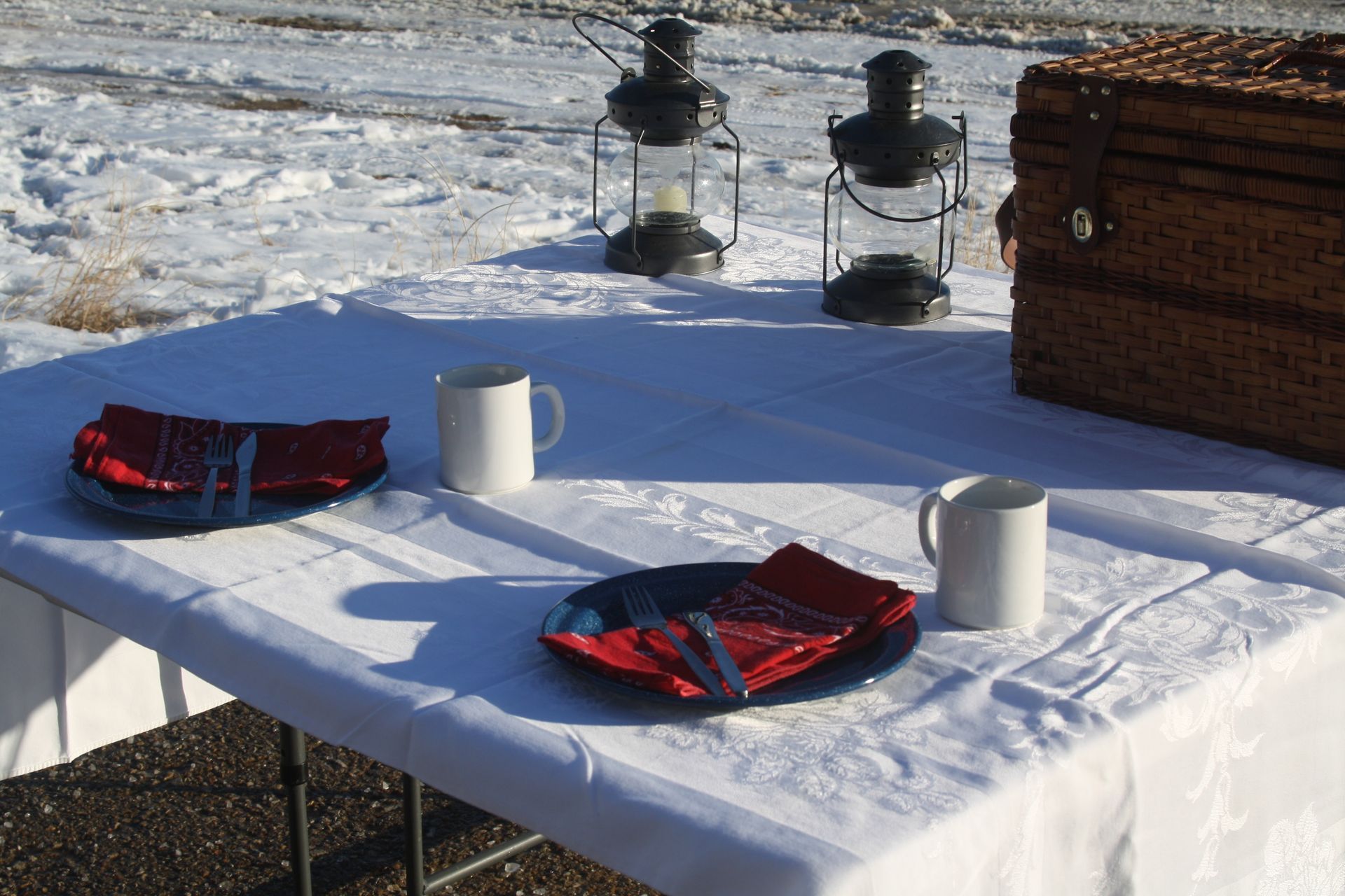 horse drawn carriage ride and picnic in the snow