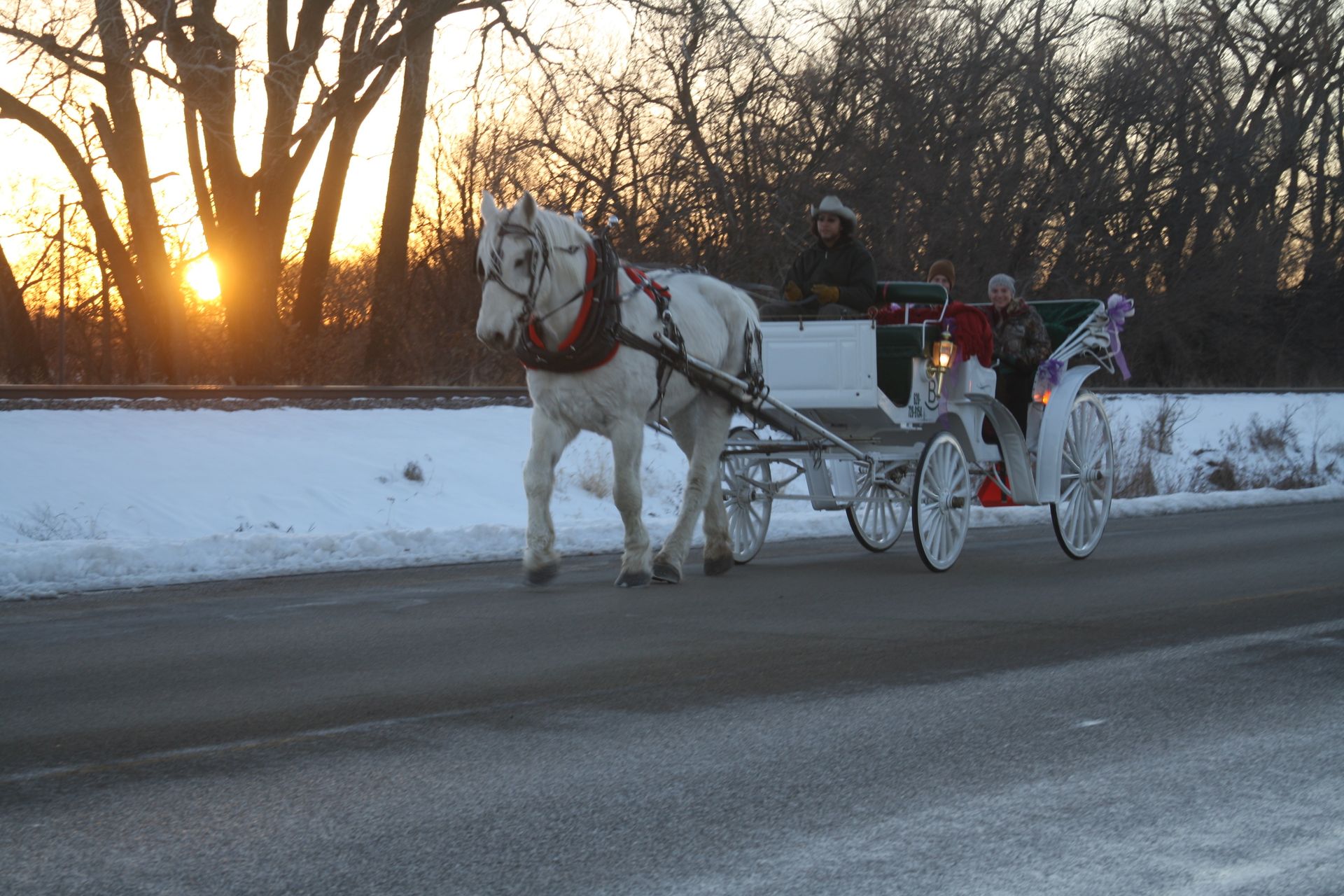 carriage ride along snowy road