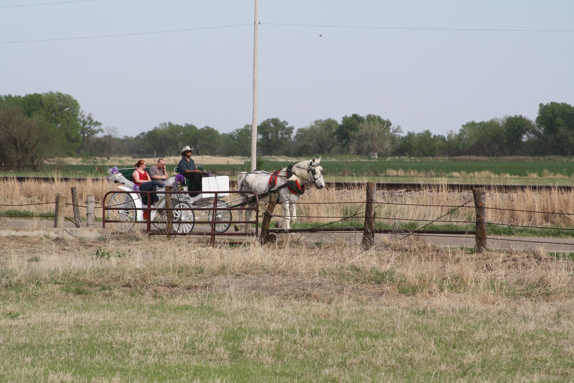 picnic with carriage ride