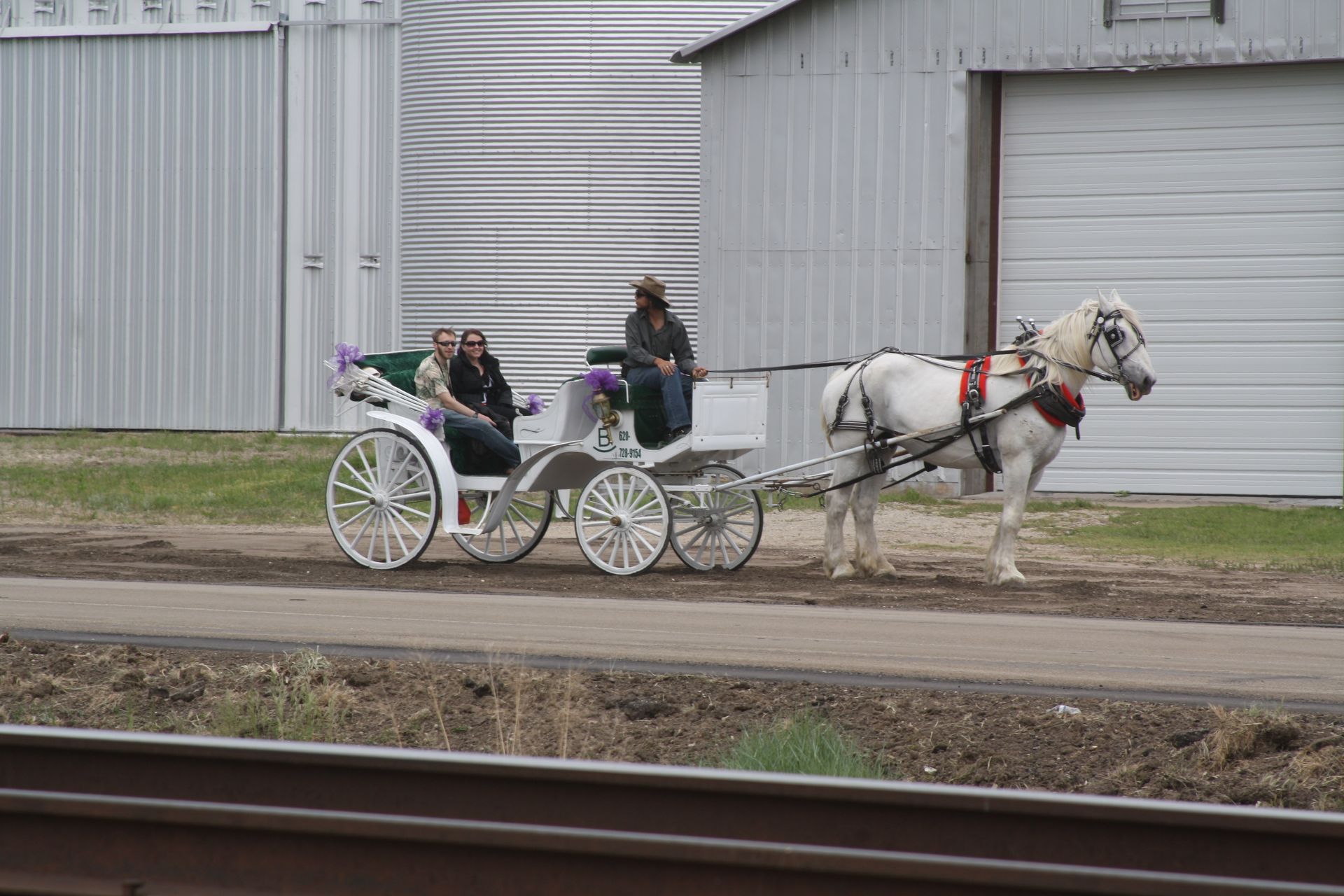 couple on horse drawn carriage ride