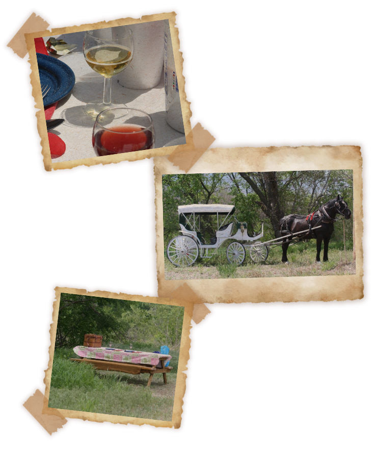 romantic horse drawn carriage rides