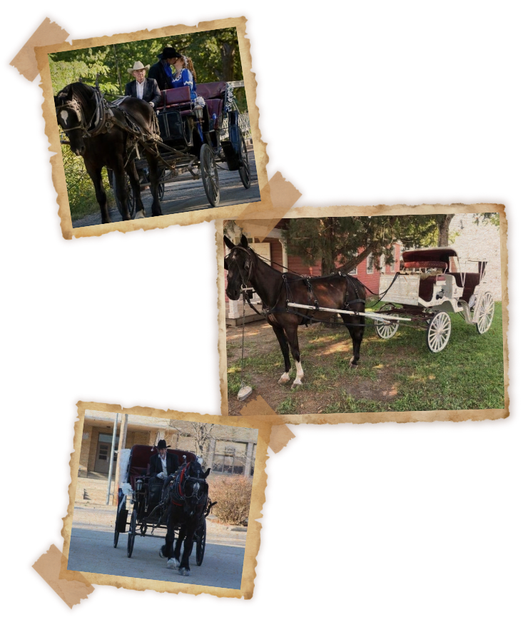 wedding horse drawn carriage collage
