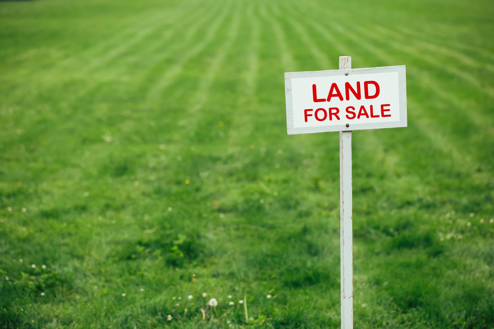 10 things to know before buying land in Texas