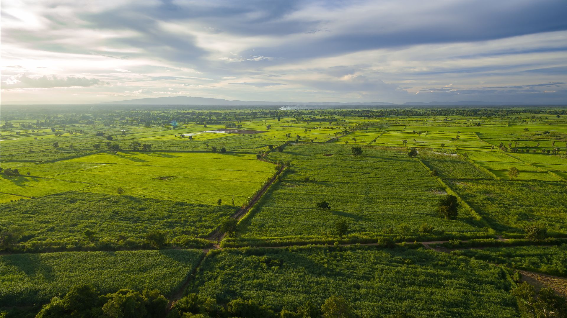 open land in the state of Texas