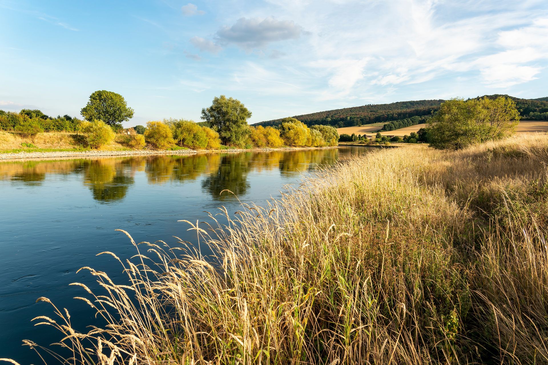 different types of wildlife living areas