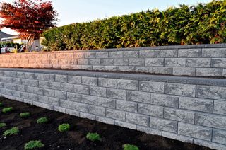 A brick wall with a tree in the background