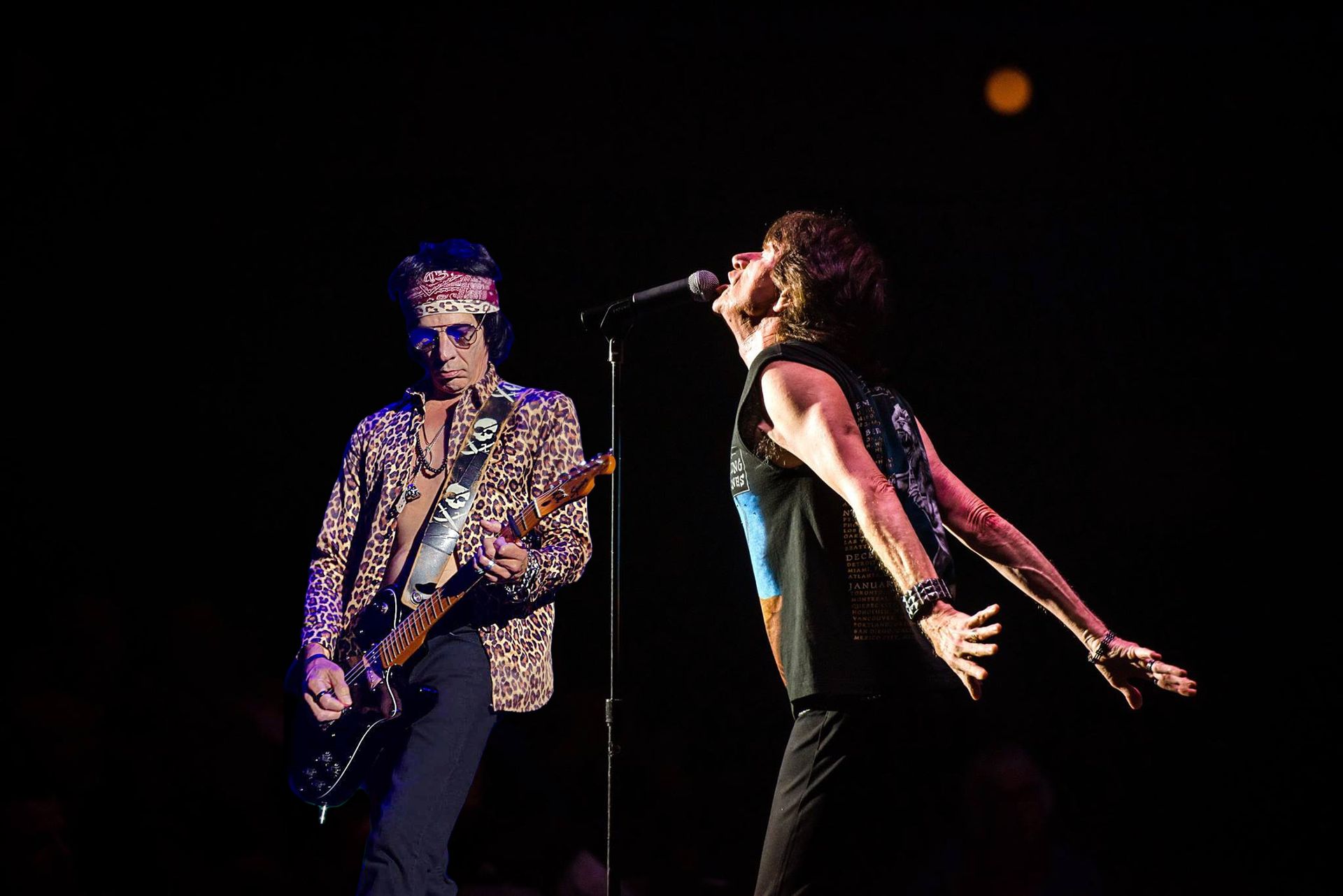 Two musicians performing onstage, one singing into a microphone and one playing guitar under dark lighting