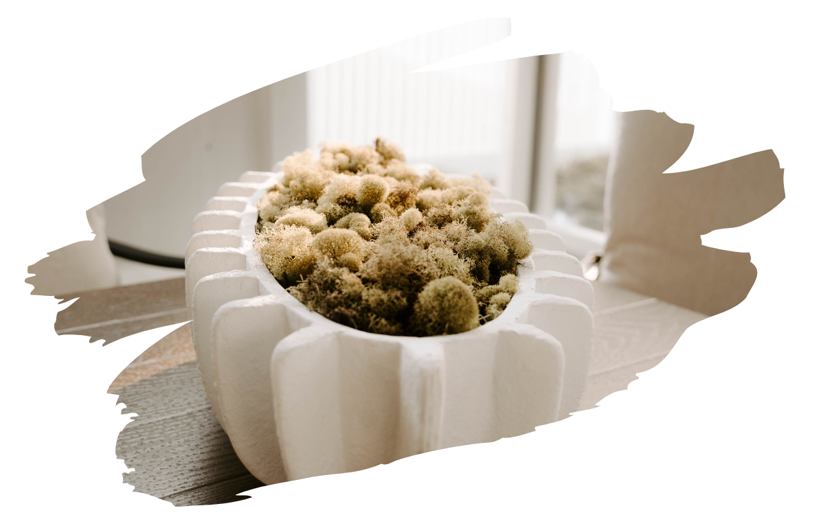 White decorative planter filled with moss, set on a bright windowsill.