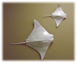 Tampa Ray Wall Mount