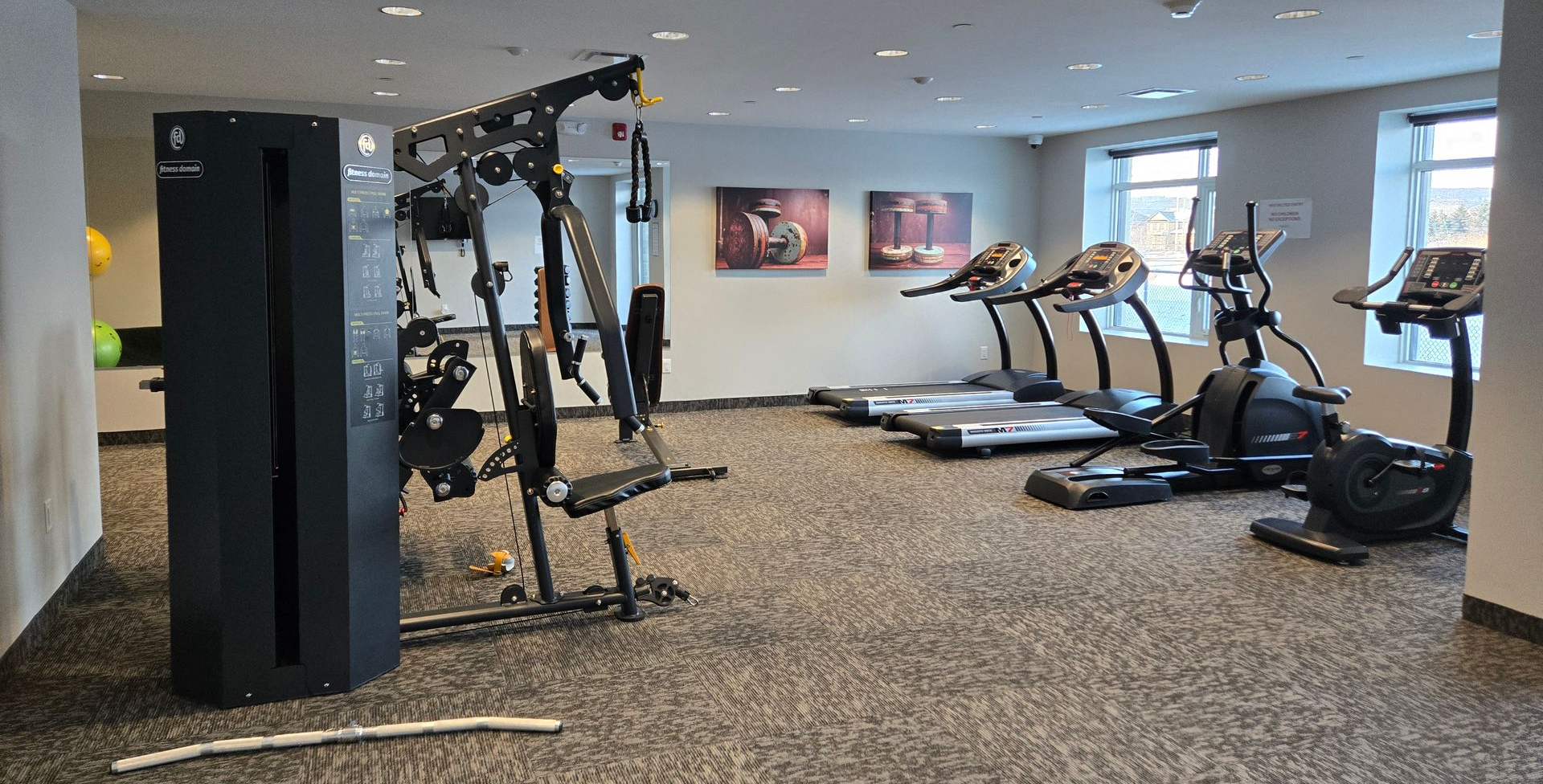 Gym with exercise equipment: weight machine, treadmills, elliptical, and carpeted floor.