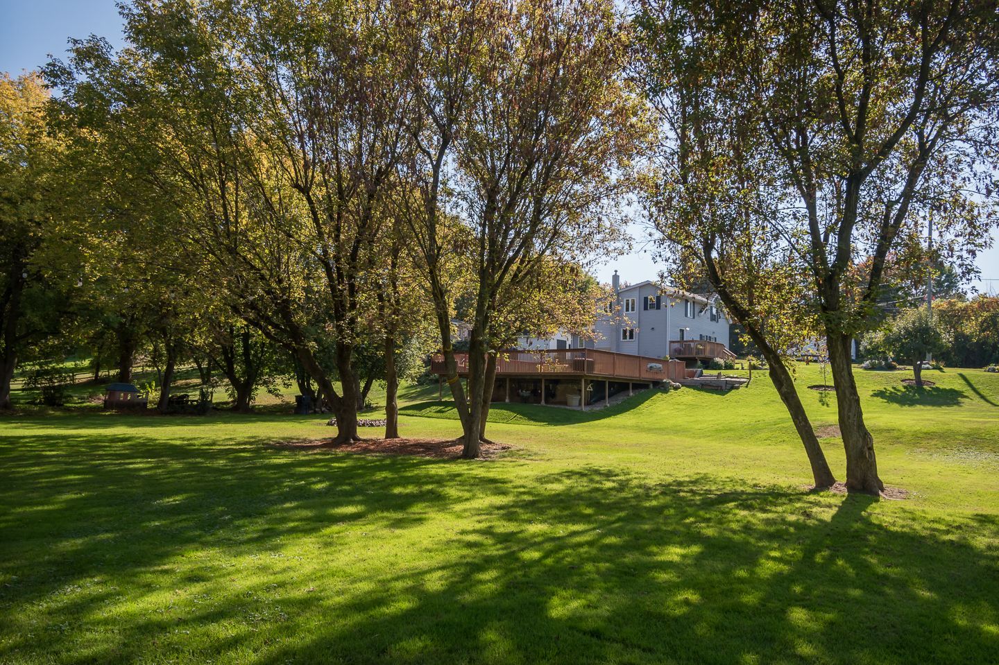 99 Tremaine Road Milton, Ontario view from the trees