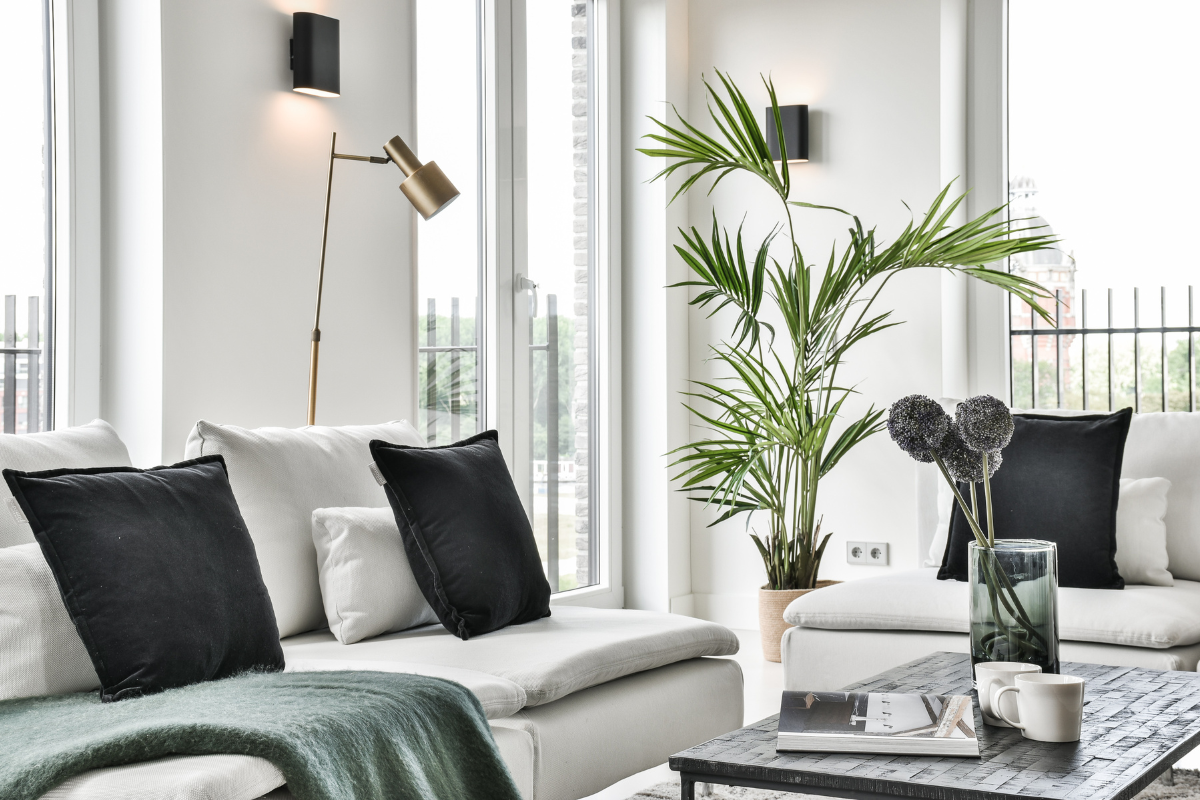 A living room with a couch , coffee table , and plant.