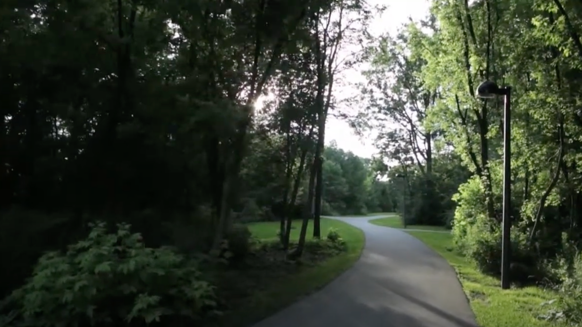 A path in the woods with trees on both sides