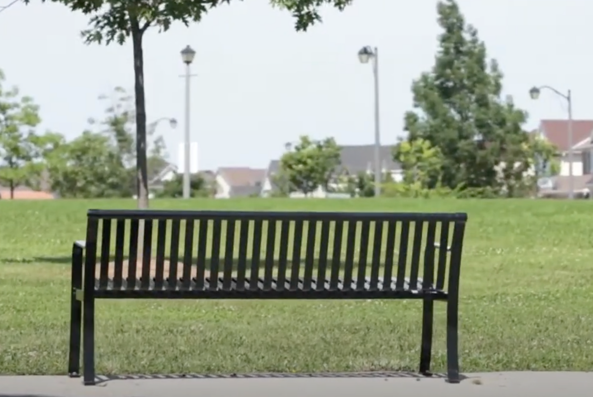 A park bench with a tree in the background