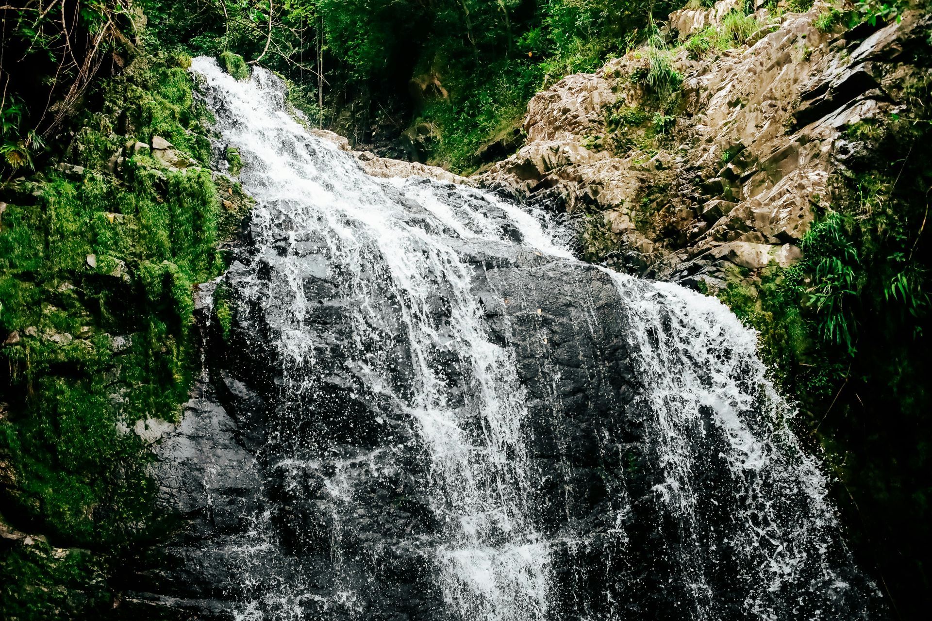 Explore the best hikes in Milton Ontario this spring