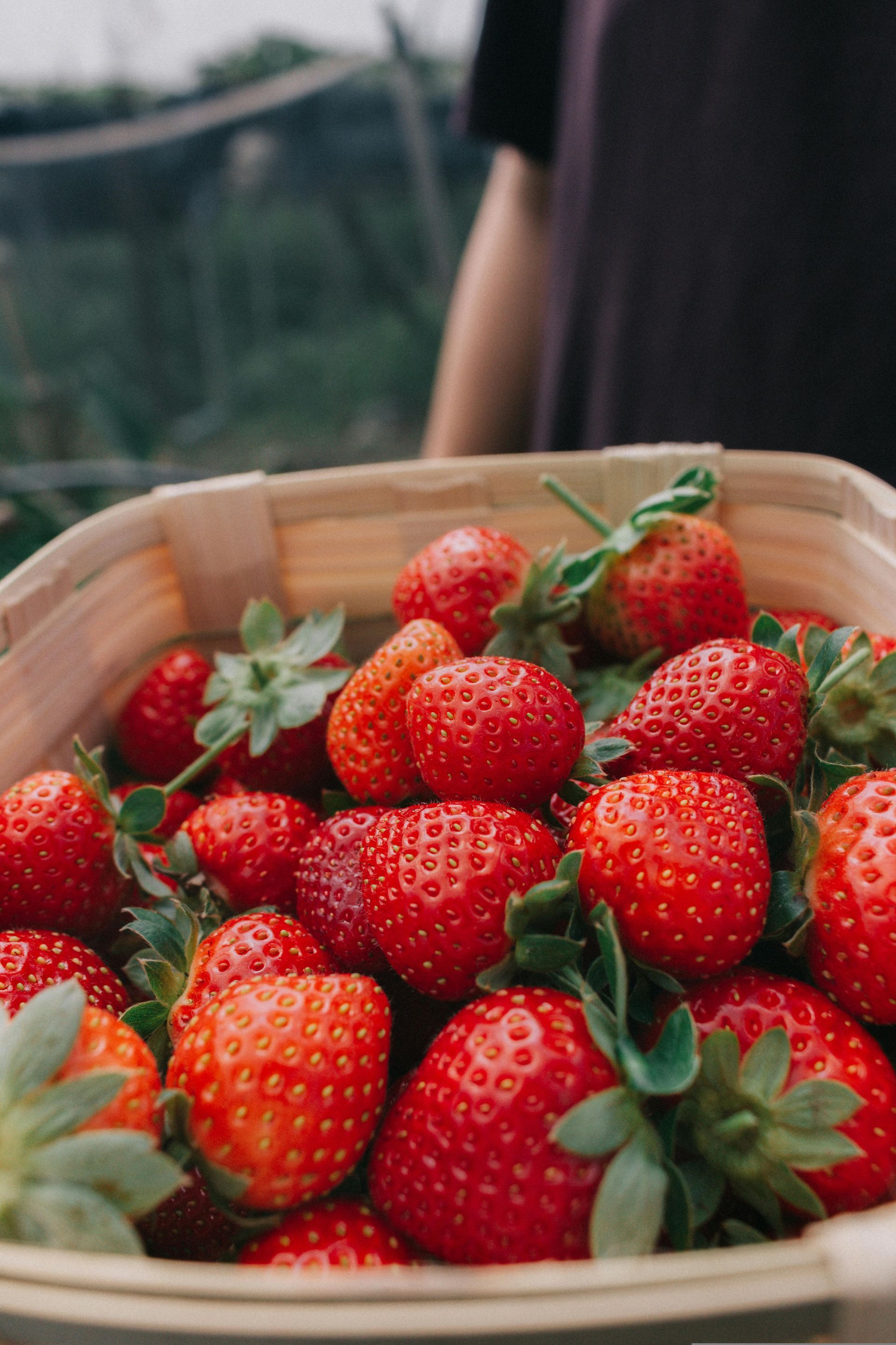 Basket of ripe red strawberries in a woven container outdoors