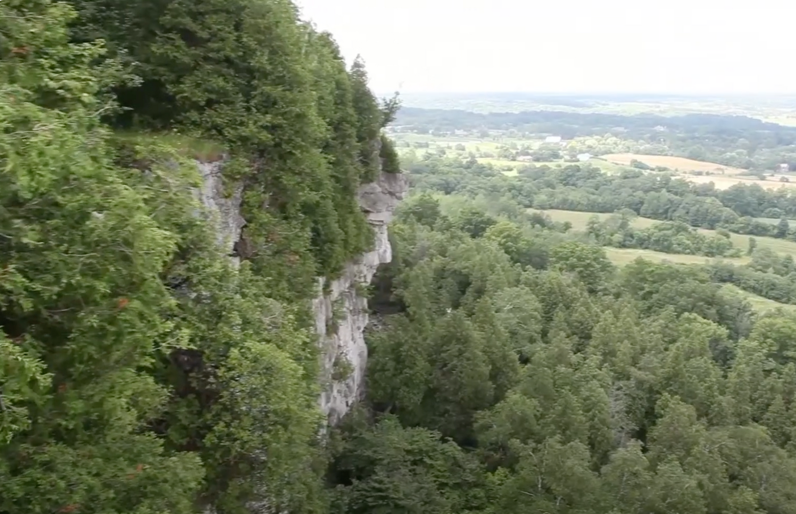 An aerial view of a cliff surrounded by trees.
