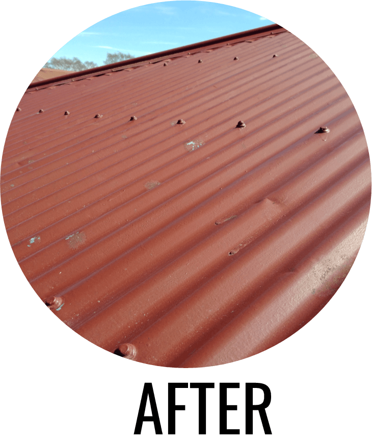 roof cleaning christchurch