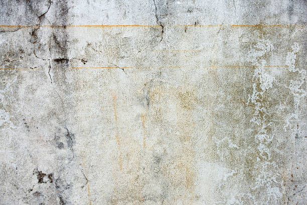 Concrete Wall, Cracked, Rust Streaked | Speers Point, Nsw  | Precision Building Nsw