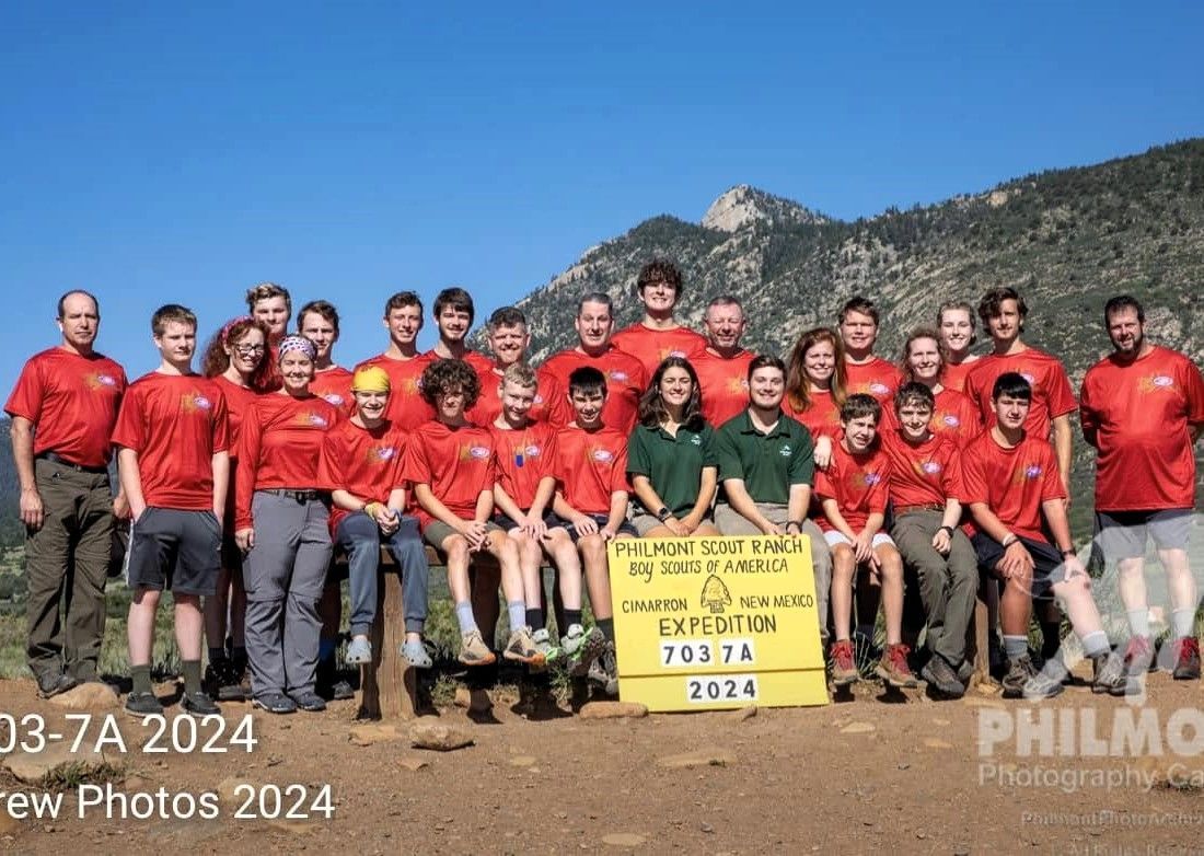 A field with mountains in the background and a telephone pole in the foreground