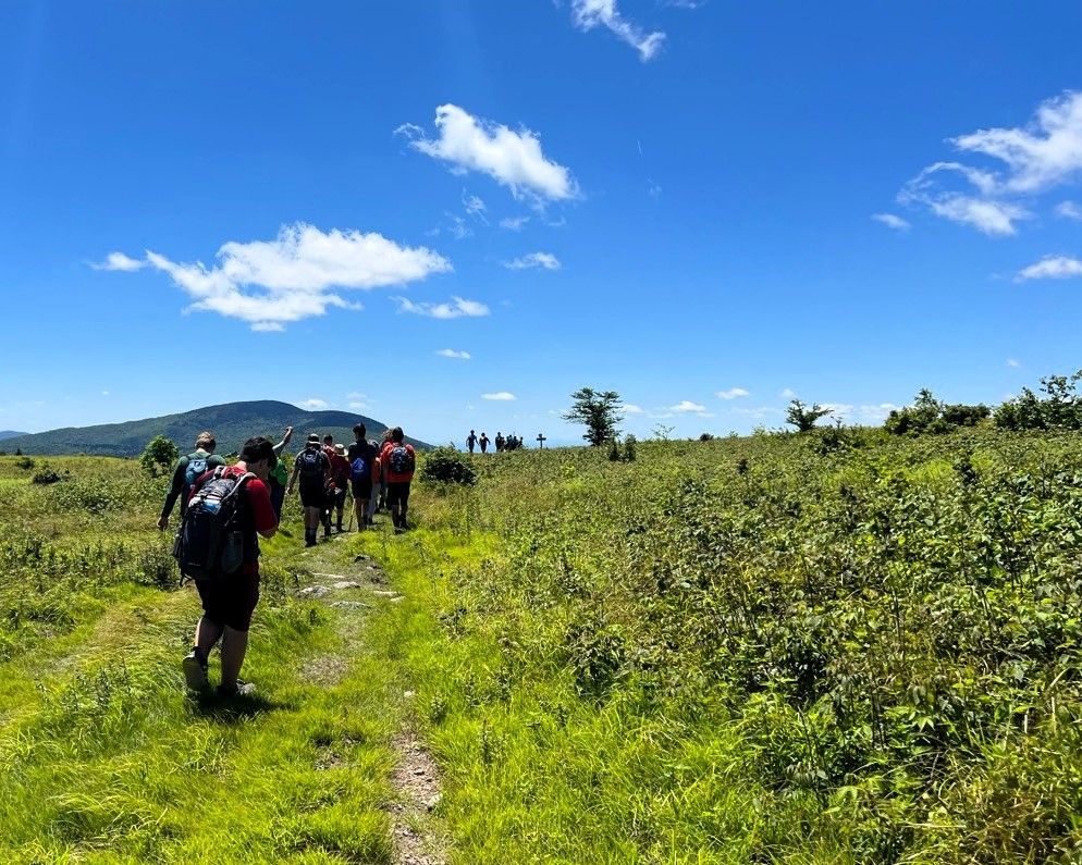 A group of people are walking through a grassy field.