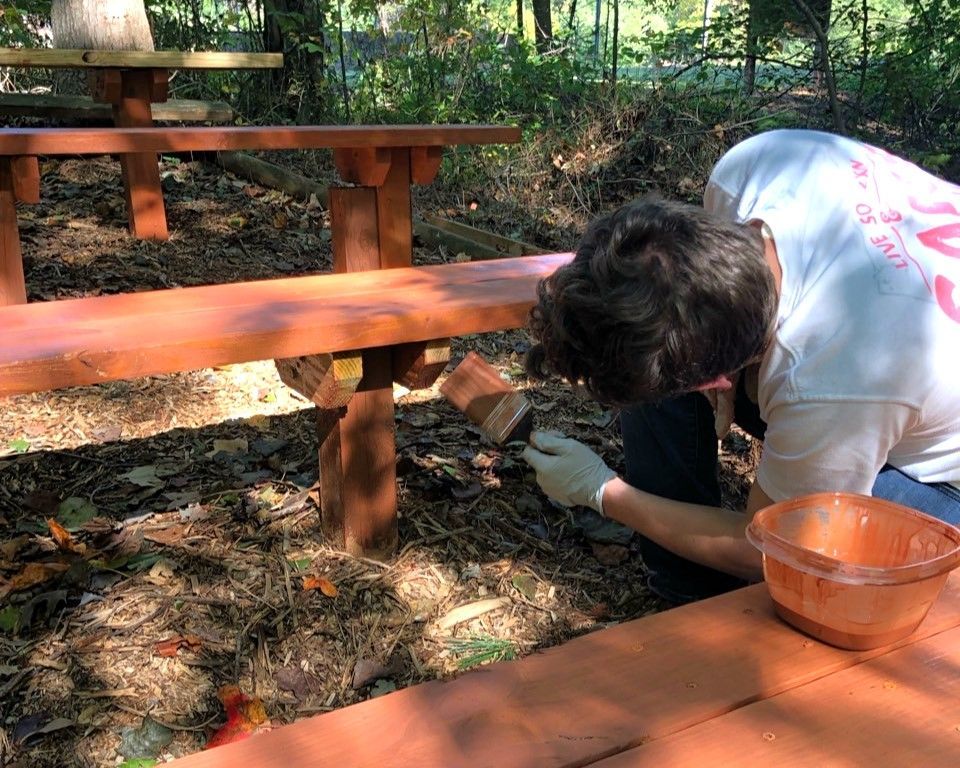 A man is painting a wooden bench in the woods.