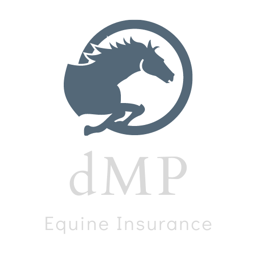 BIGFORK|SEO_dMP Equine