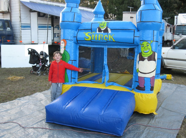 SHREK MINI CASTLE