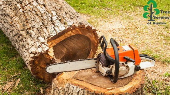 tree cutting company tree removal business tree care services near Austin Texas