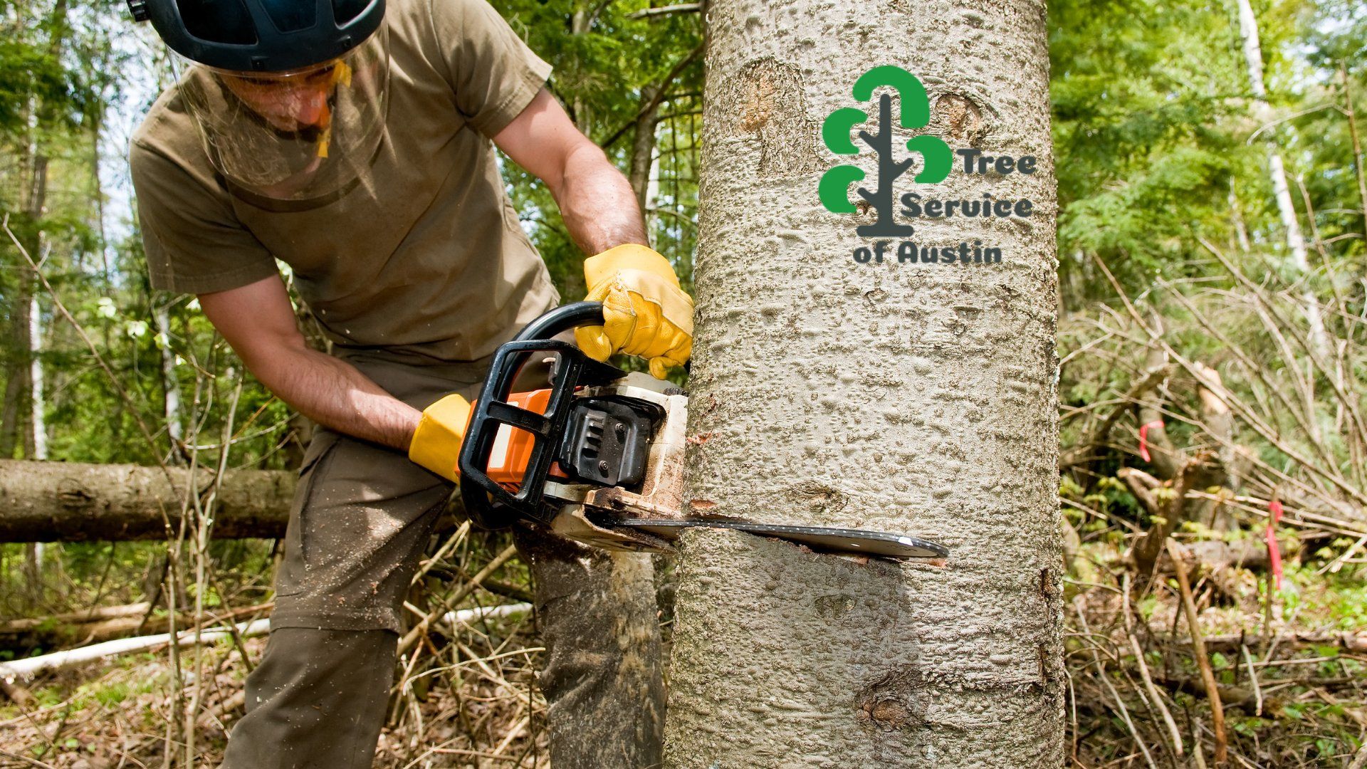 Tree Trimming, Tree Pruning Services in Austin Texas