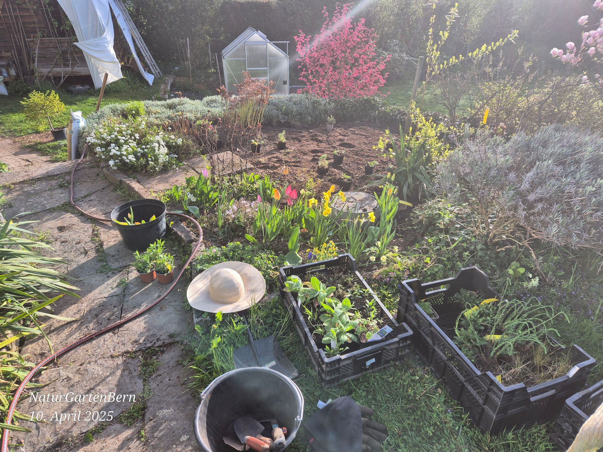 Neue Bepflanzung erstellen, mit Einheimischen Stauden, natürlich mit Stohhut
