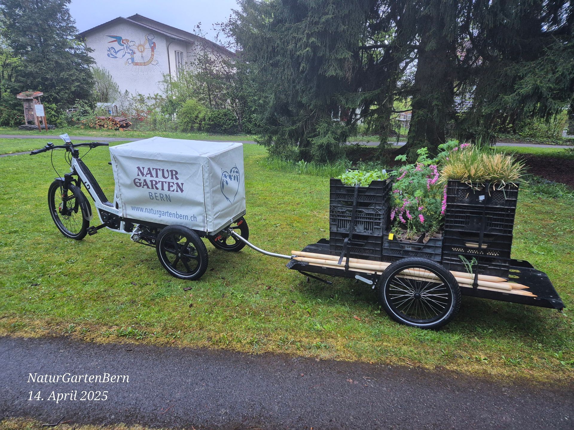 Lastenvelo mit Anhanger, beladen voller Pflanzen